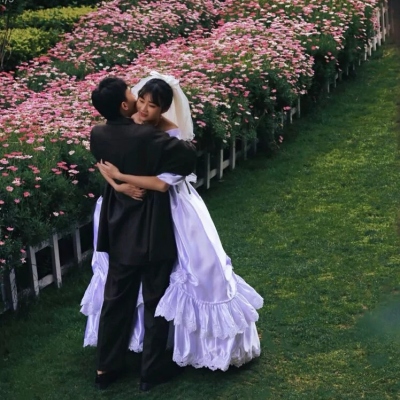 分析图示甲