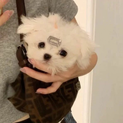 快手刷赞自动下单 反向思考示意