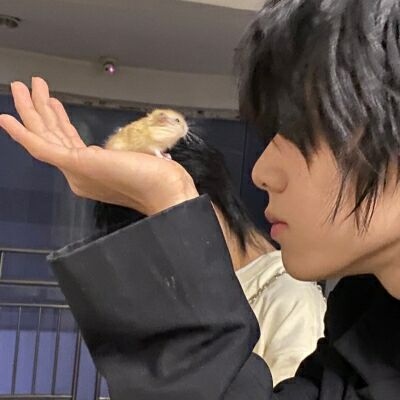 快手赞24小时 核心细节