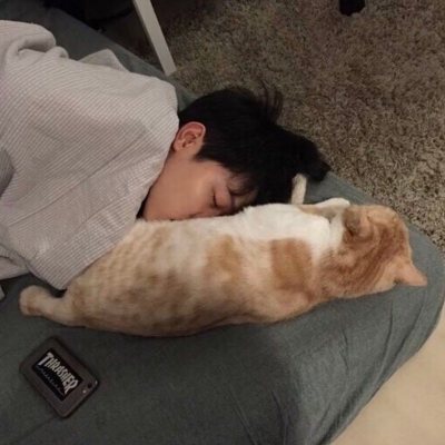 标准对比