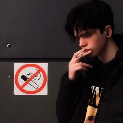 示意概览