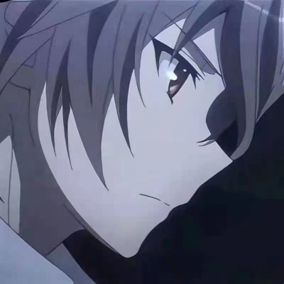 示意说明