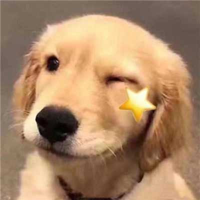 抖音点赞评论软件 示意图 A