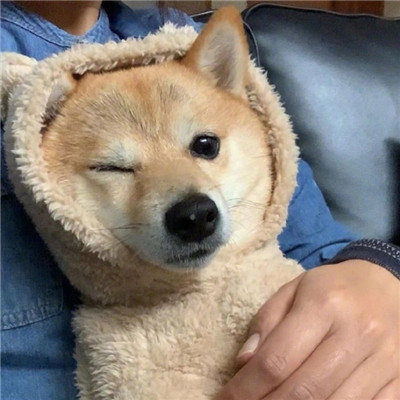 示意小图2