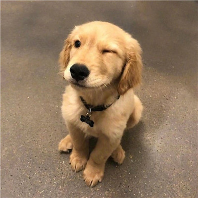 场景示意C