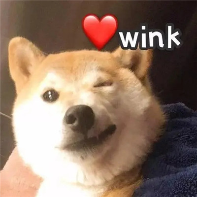快手刷粉丝3元10000 补充