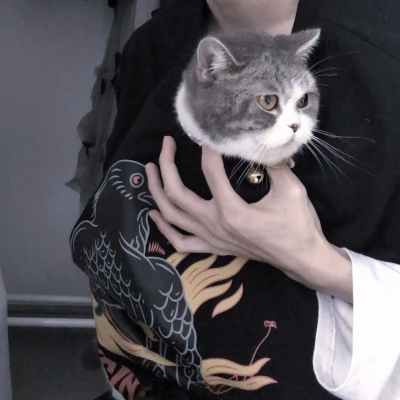 ks下单自助24小时服务