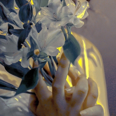 要点解析