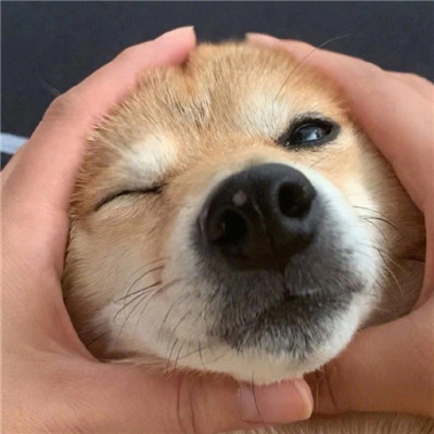 售后保障