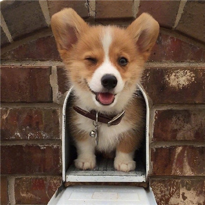 全名k歌粉丝在线下单平台 注意事项