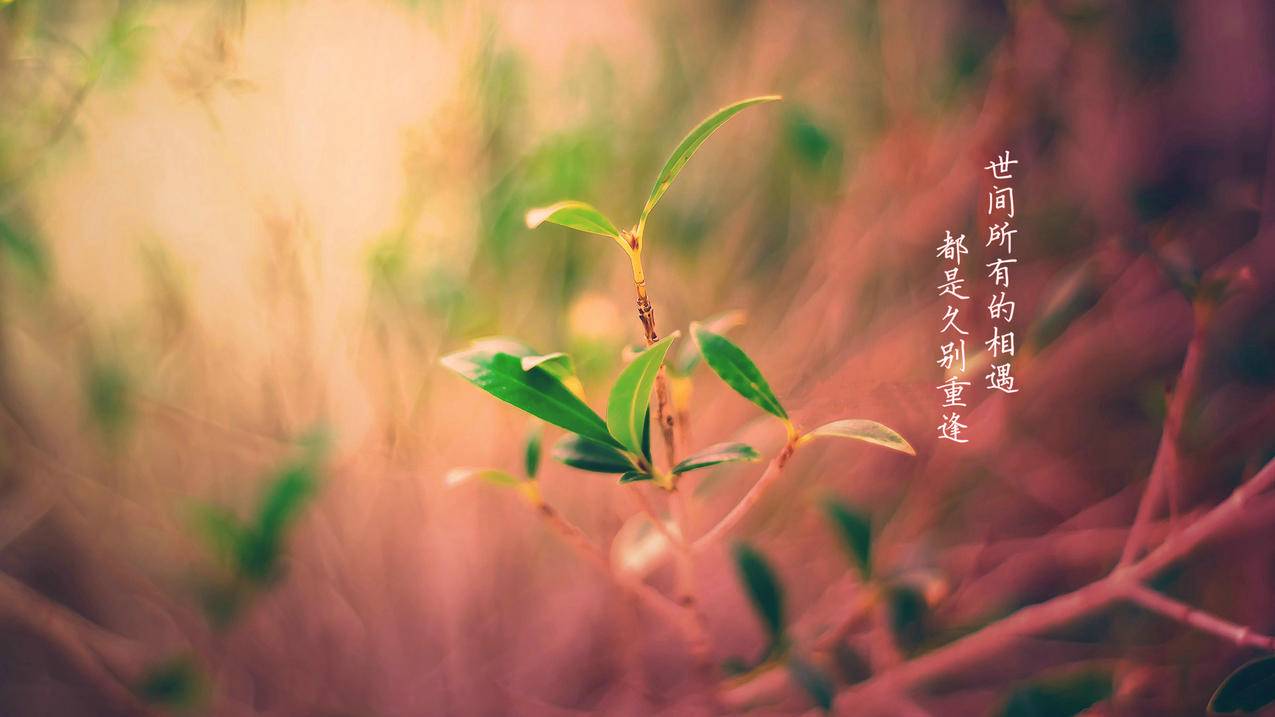 空间说说五十赞 - QQ刷赞