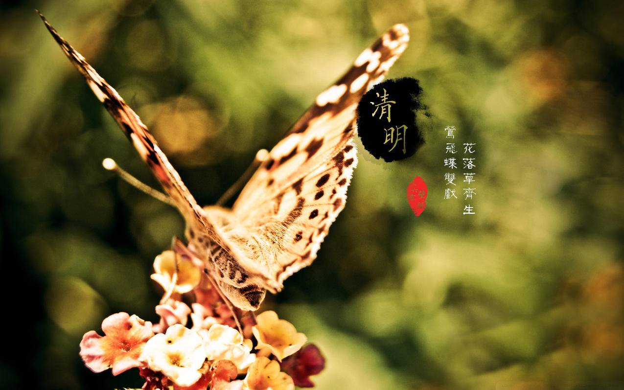 免费刷qq空间说说赞2024 - qq买点赞赞网站-快手点赞在线自助平台秒刷-站酷刷关注