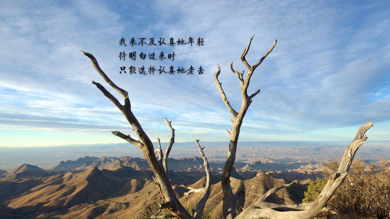 抖音刷人气破解版 - 快手刷热度平台在线刷最便宜,快手秒刷业务网站最便宜