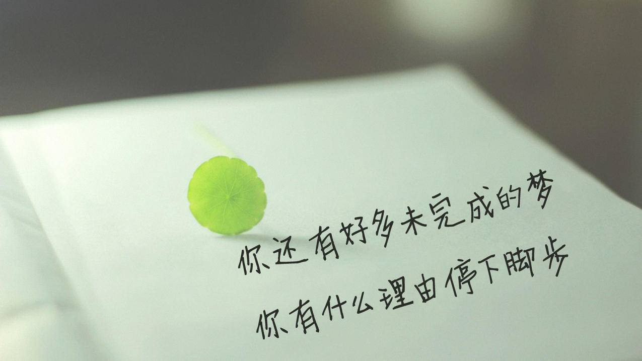 ks刷粉网站推广马上刷_快手刷播在线放量网站快速,qq刷赞平台推广软件