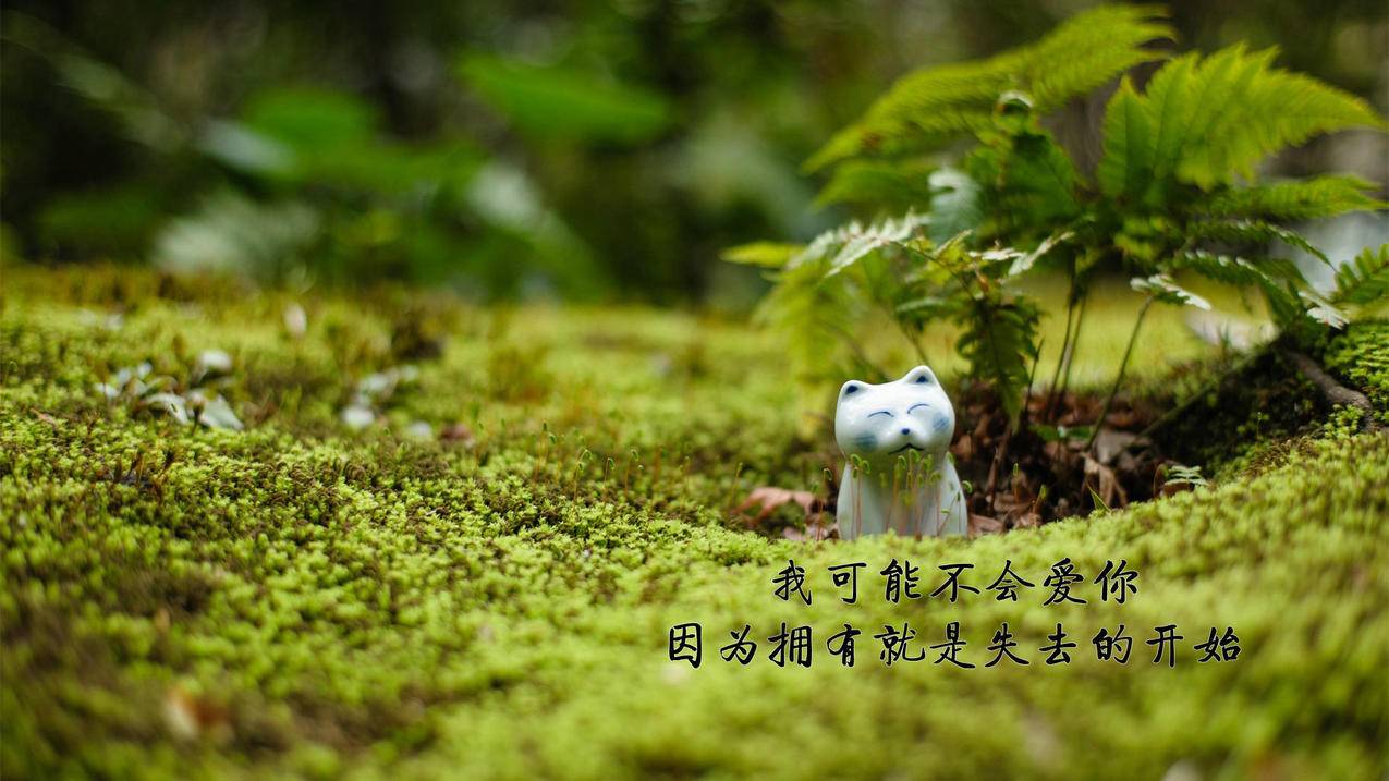 鬼代刷- 全网最便宜名片赞平台,24小时自助刷业务,QQ免费领取名片赞,全网最低价名片赞网址,名片赞,