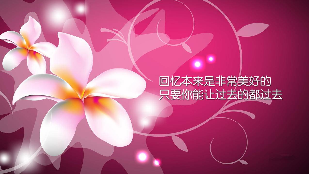 24小时自助刷赞快手平台网站_快手点赞代刷网