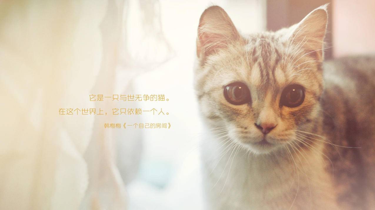 刷赞网站推广qq免费说说赞 - 刷qq赞平台全网+最低价啊