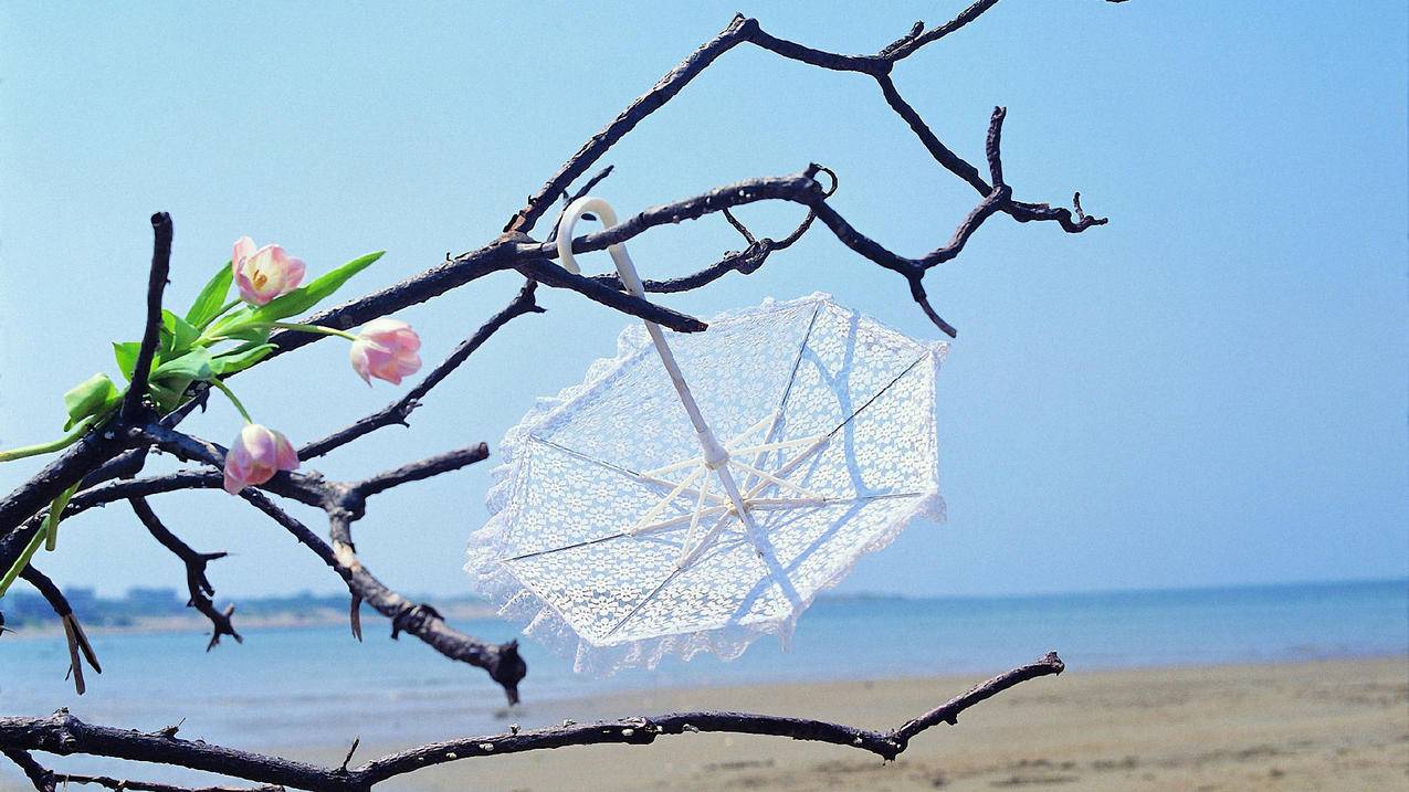 快手刷热度免费平台推广网站_刷赞雷神网站_晨曦云秒赞网