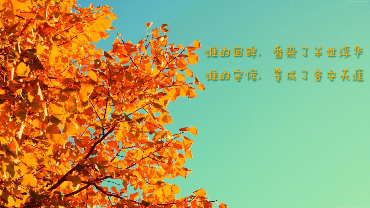 qq云商城新闻 - 