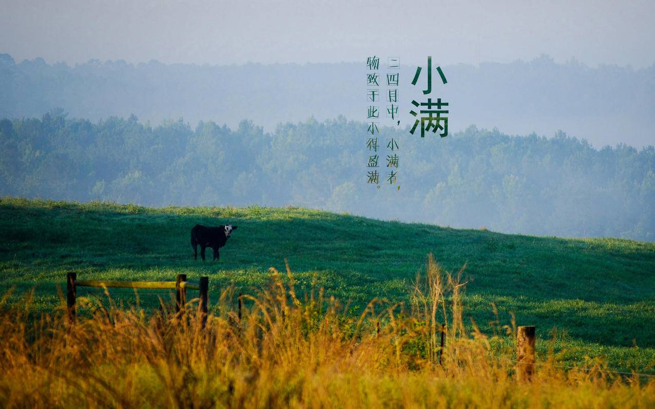 超级低价快手粉丝免费1w真的假的 - 1000名片赞赞
