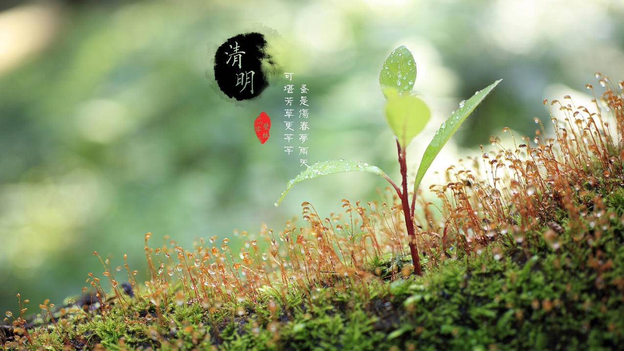 0元名片赞免费下单 - 低价qq刷空间说说赞