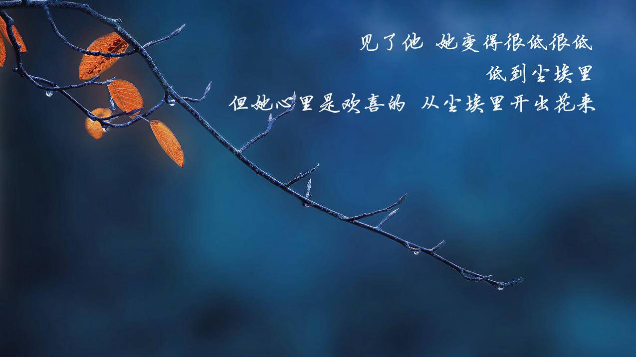 卡永久王者荣耀皮肤免费刷网址在线_抖音刷播放,抖音刷赞,刷赞注意事项-快手抖音刷粉-代刷网