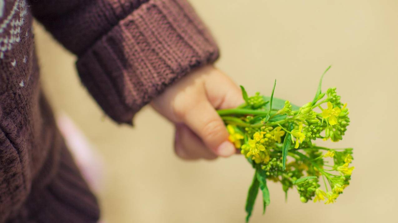 爱q科技_黑牛快手代网站刷业务平台_忆家空间说说刷赞 - ks刷死粉网站