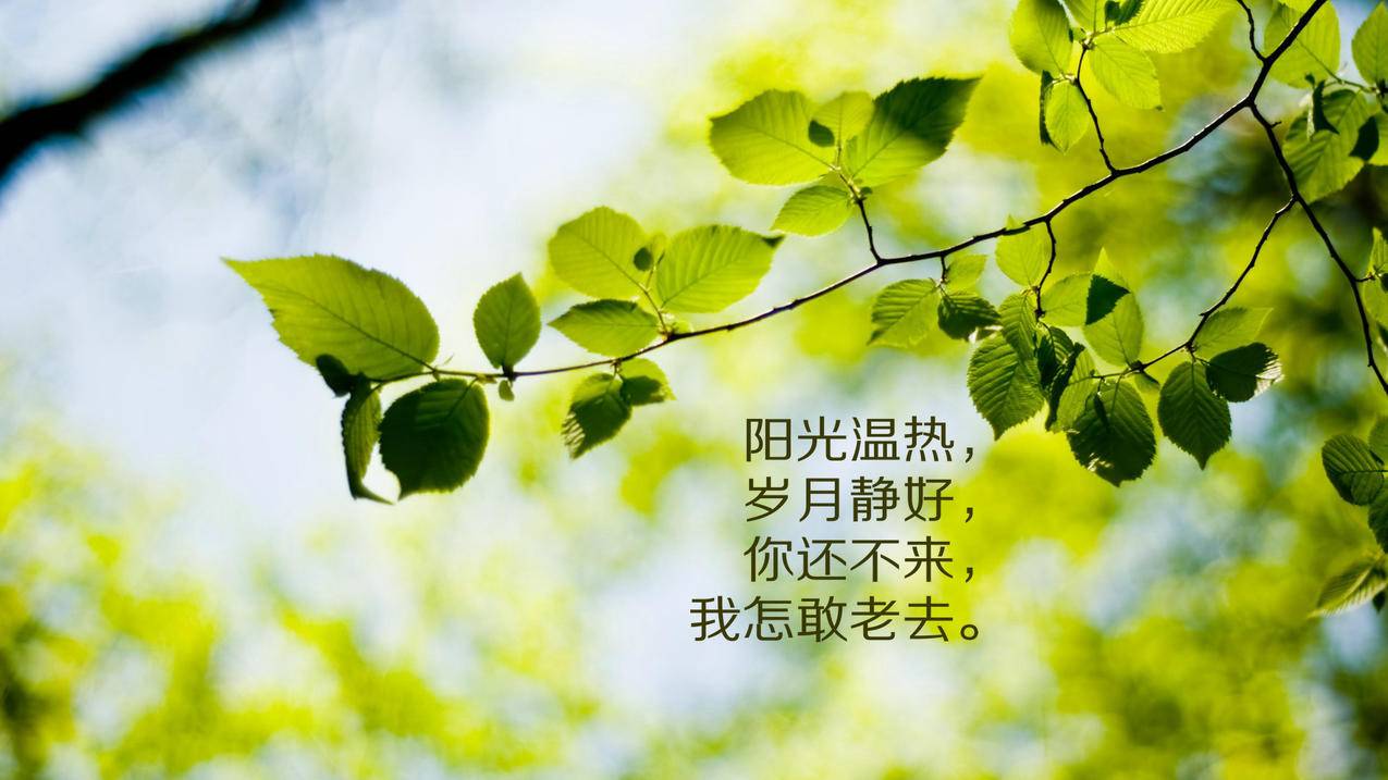 卡永久王者荣耀皮肤最低价啊_0.01元一万空间赞_ks刷点赞双击播放量网站_一元十万赞