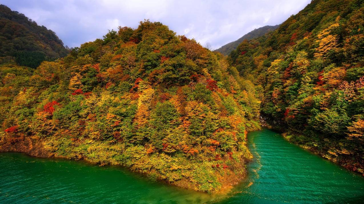 抖音涨粉丝网站推广_