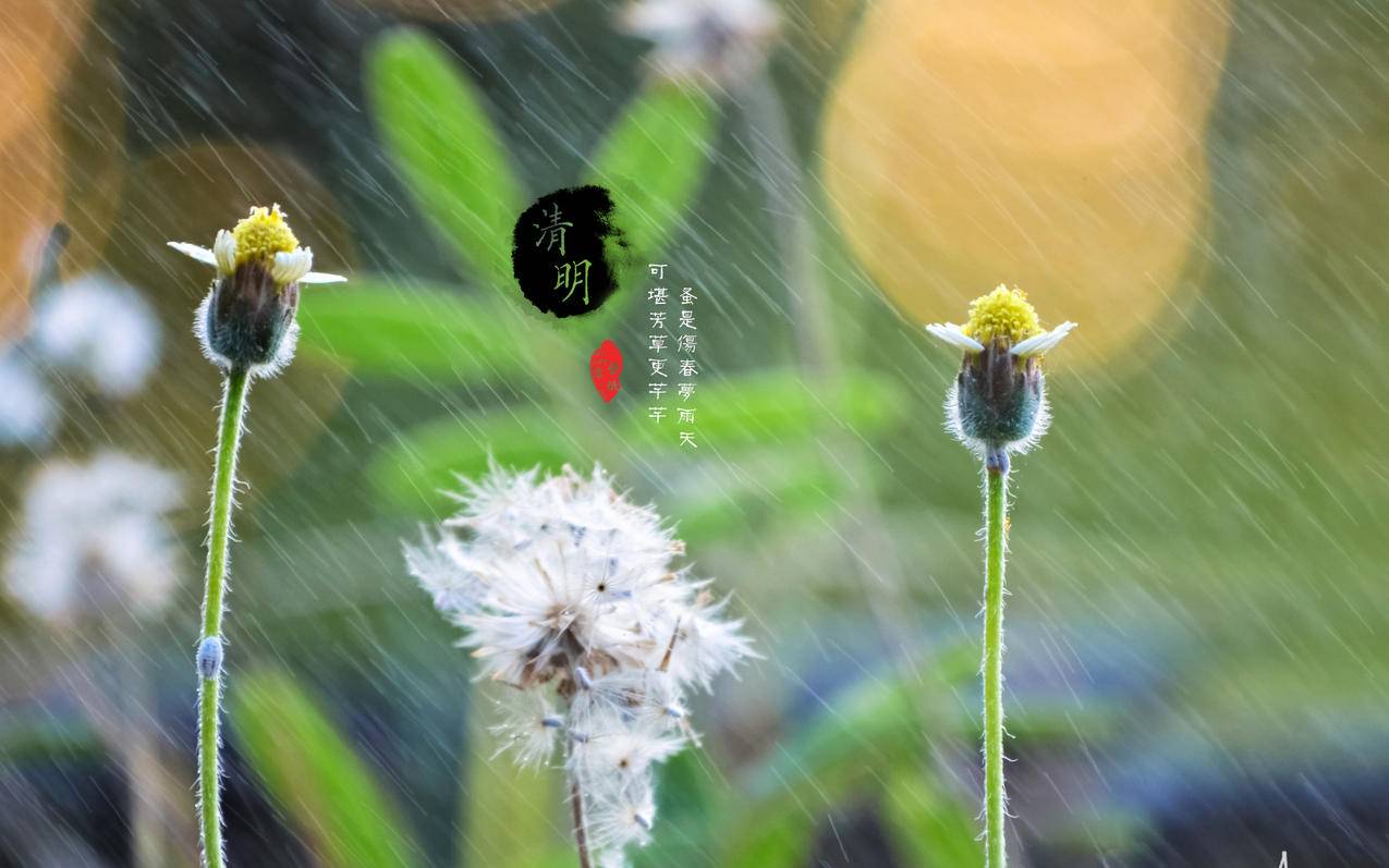 qq空间刷人气访问量在线刷 - 快手刷热度网站秒刷
