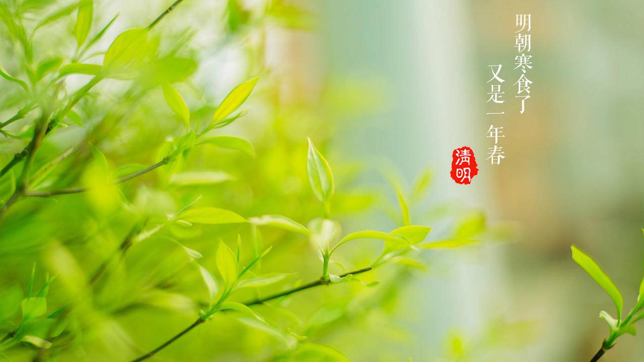 抖音刷粉网站 - 快