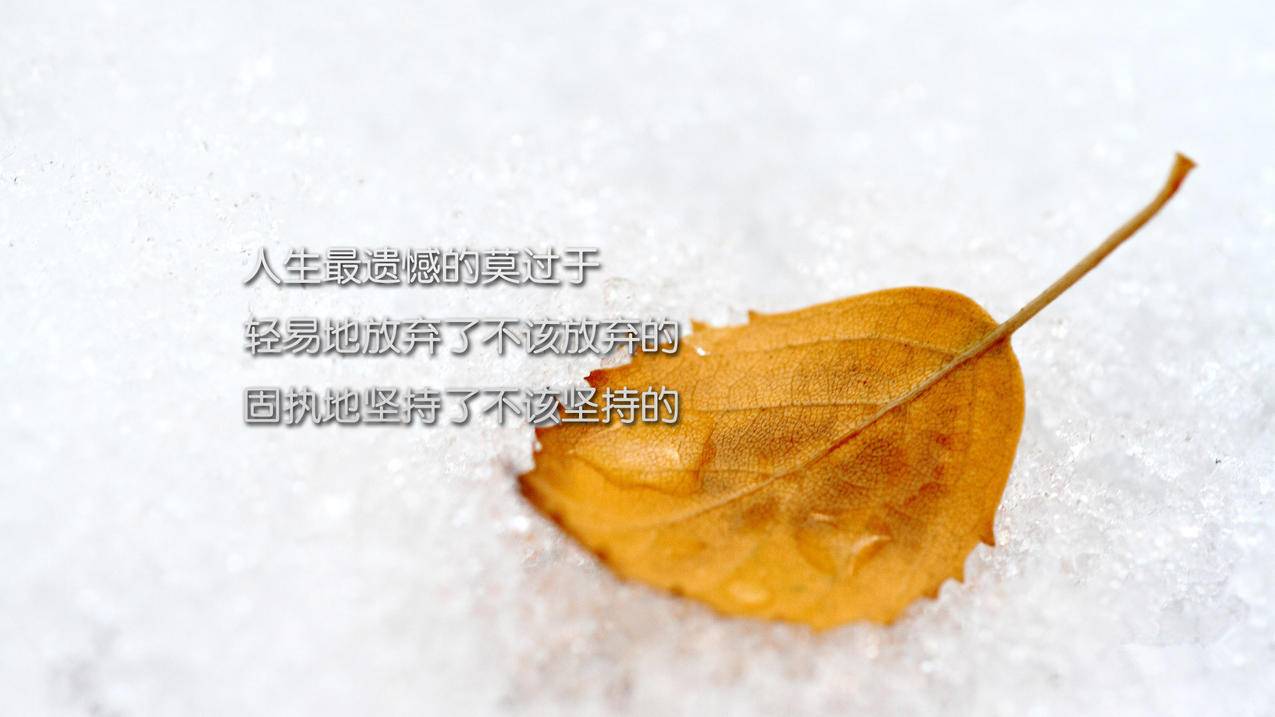 代刷网推广怎么弄 - qq动态点赞网址
