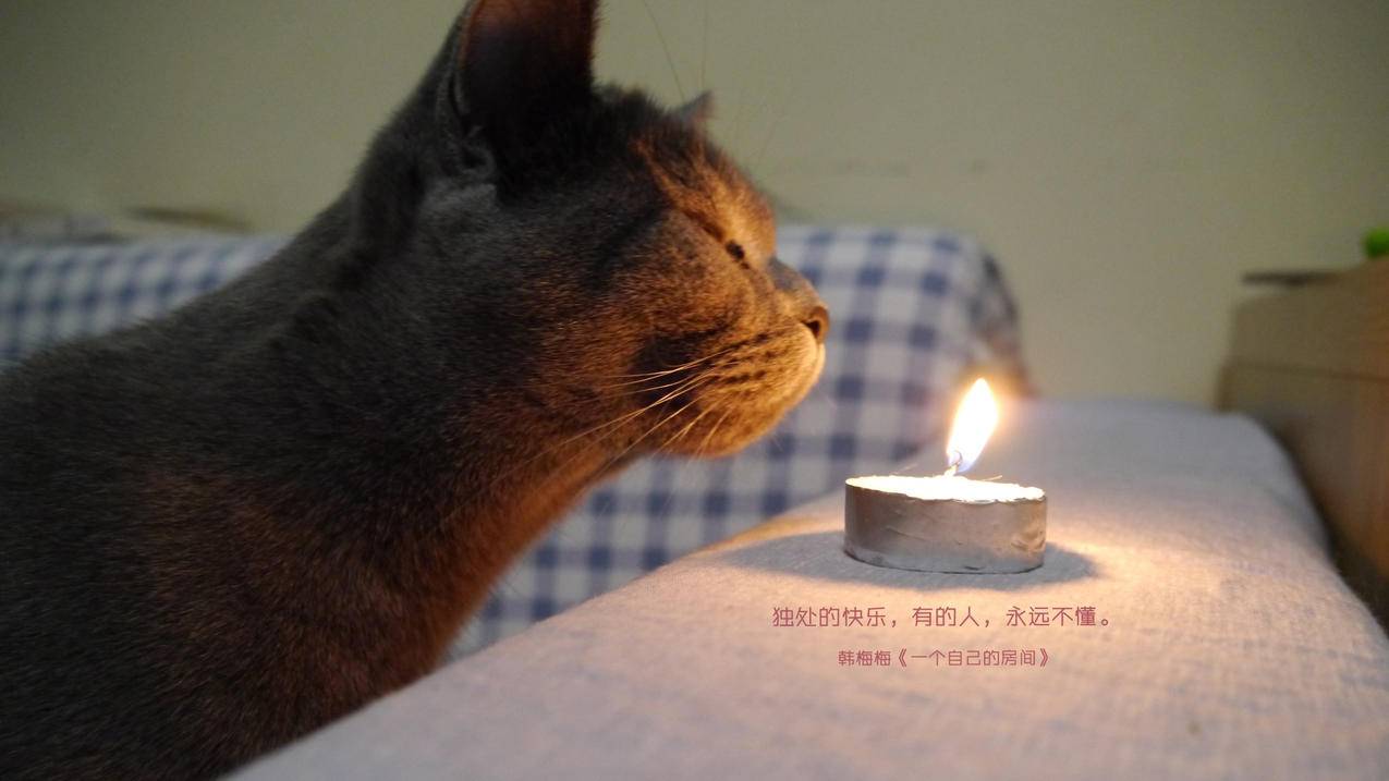快手买赞软件免费_1
