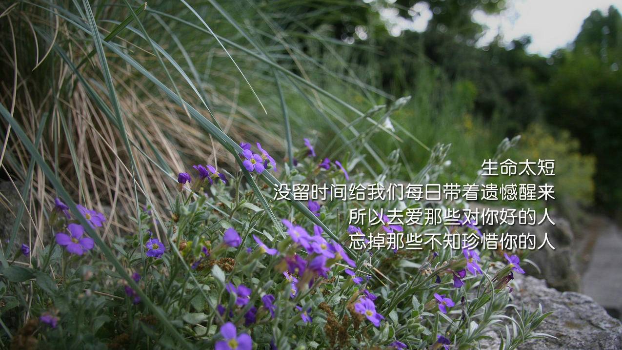 qq买点赞1毛100