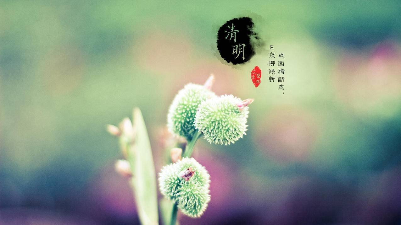 qq空间免费刷人气-