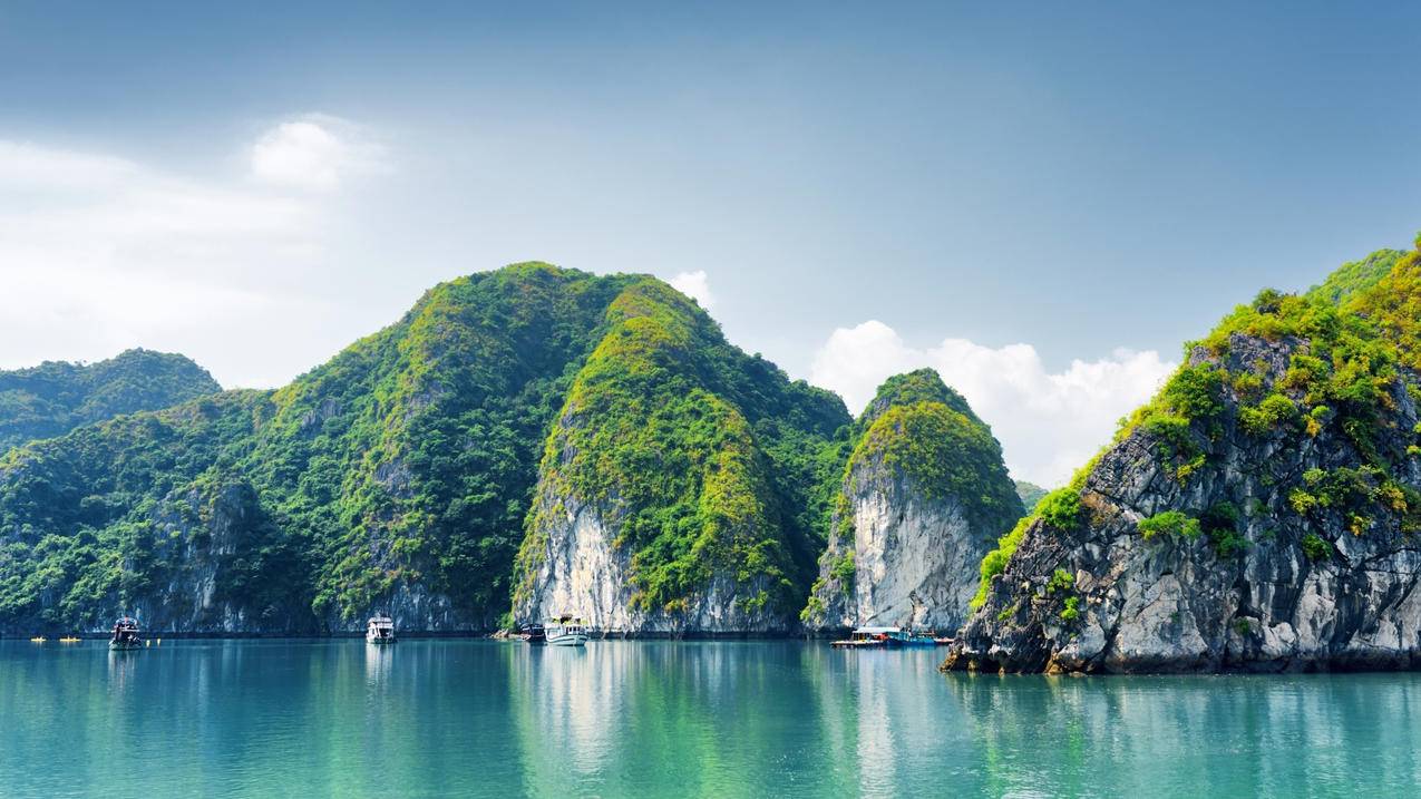 拼多多粉丝自助下单平台 - 刷赞平台推广网站便宜在线