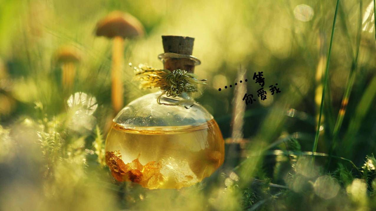 qq刷赞软件推广网站便宜 - qq刷赞网站推广快速