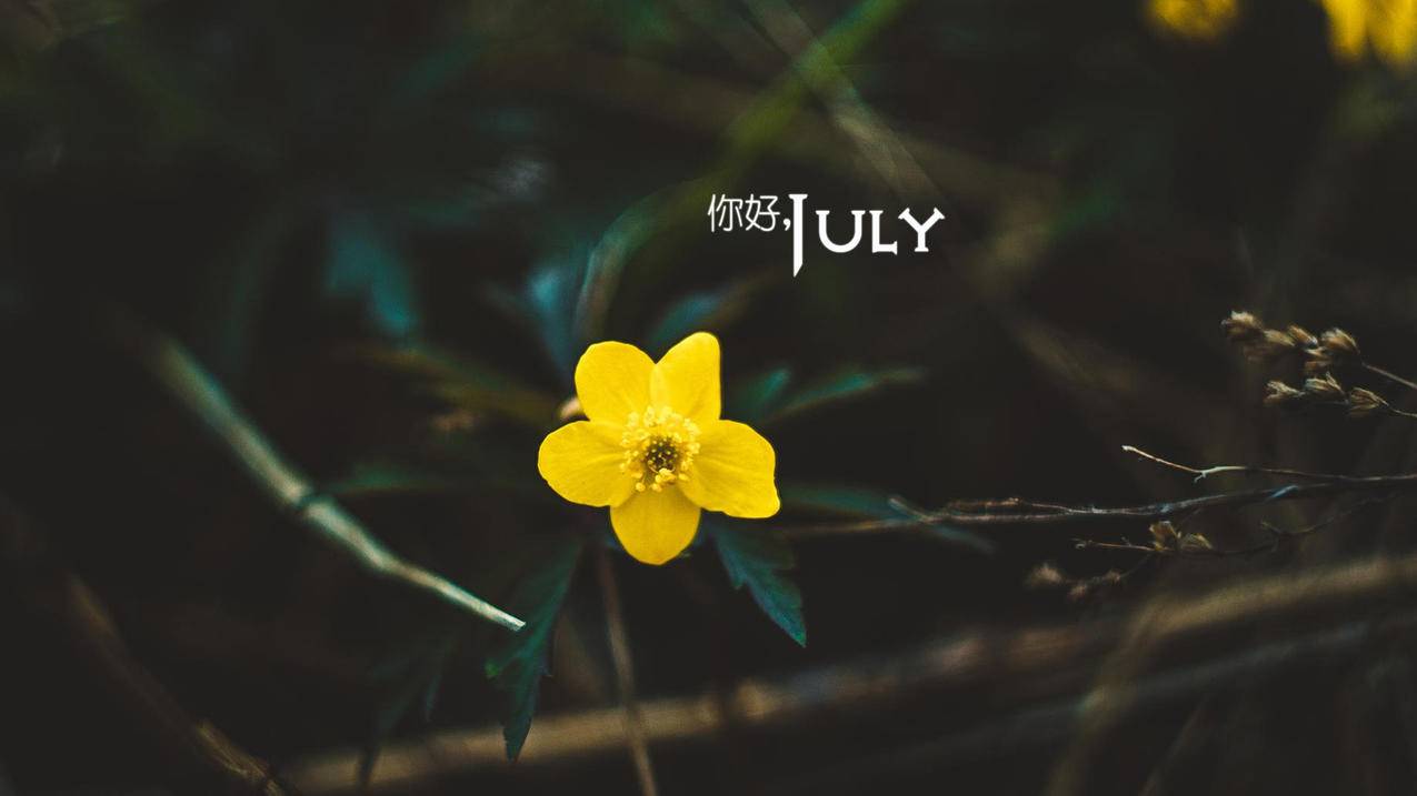可爱秒刷网-b站刷赞网-b站刷赞软件-b站刷赞平台