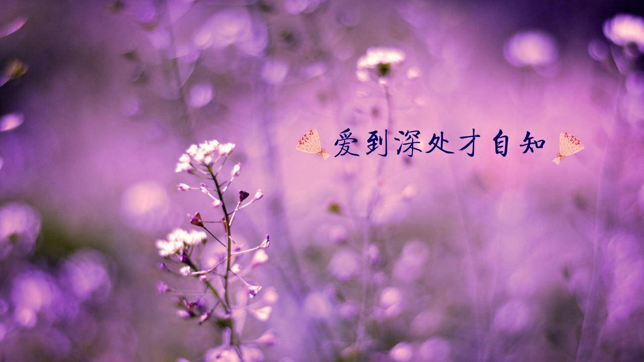 快手刷热度50个网站 - 免费刷赞平台网站