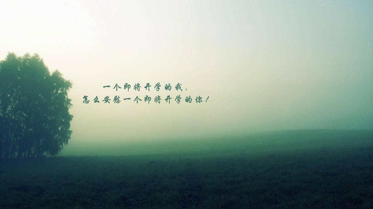 名片赞免费自助下单秒