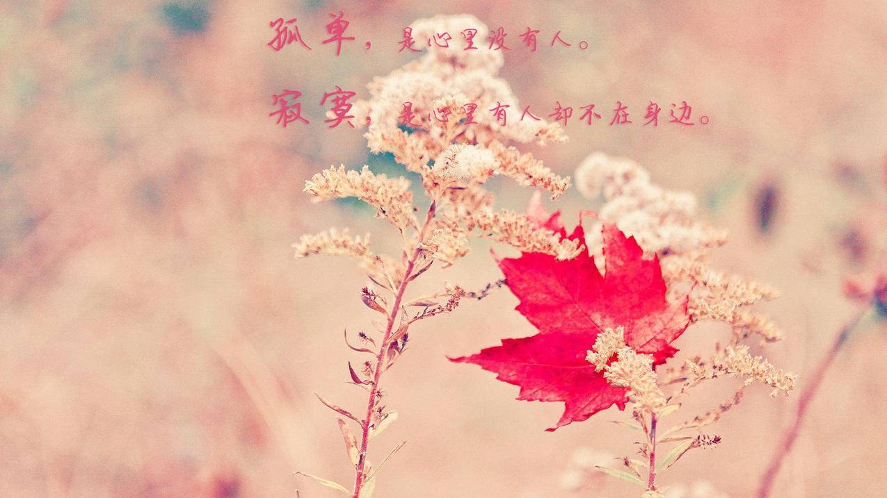 天启卡盟,qq说说赞网站10个 - 涨粉技巧