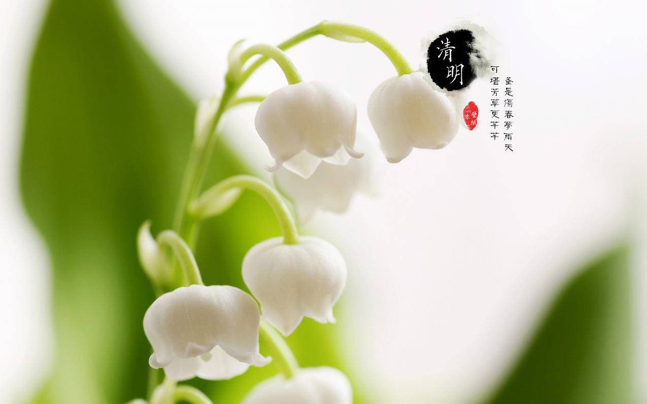 草莓秒赞网 - qq名片赞全网最低价阿豪,卡盟合法吗