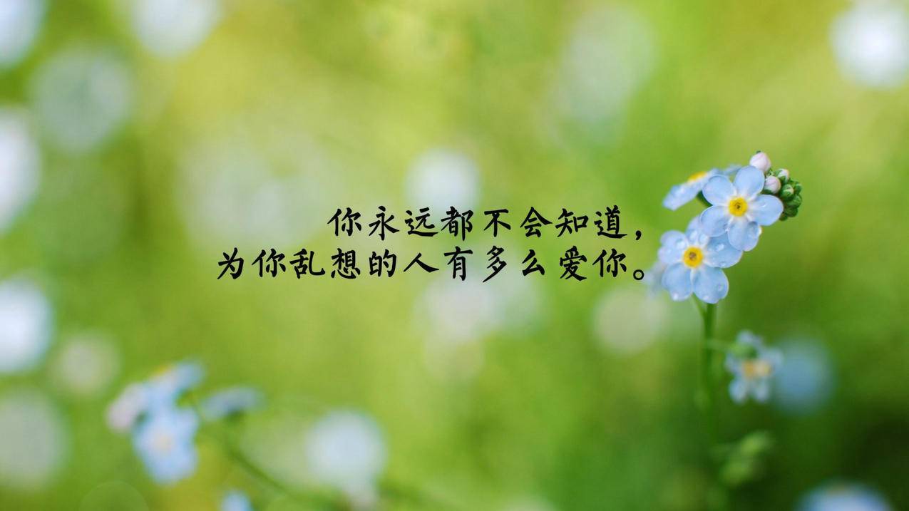 刷赞网站推广免费软件