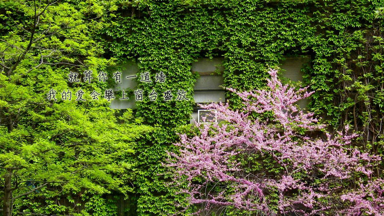刷赞平台免费推广QQ - 0.01元一万名片赞网站