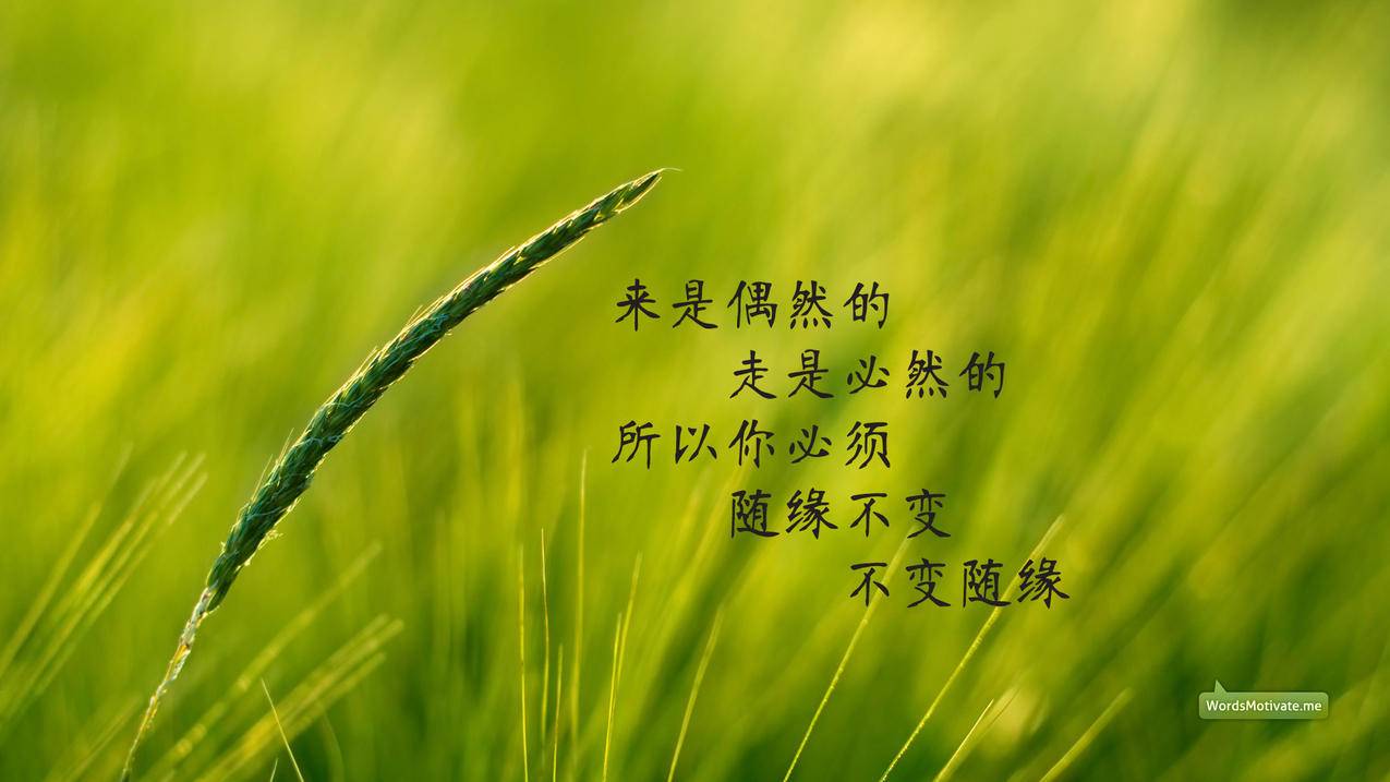 ks业务代刷低价 - 快手刷双击秒刷,ks双击免费刷-ks双击免费刷网站