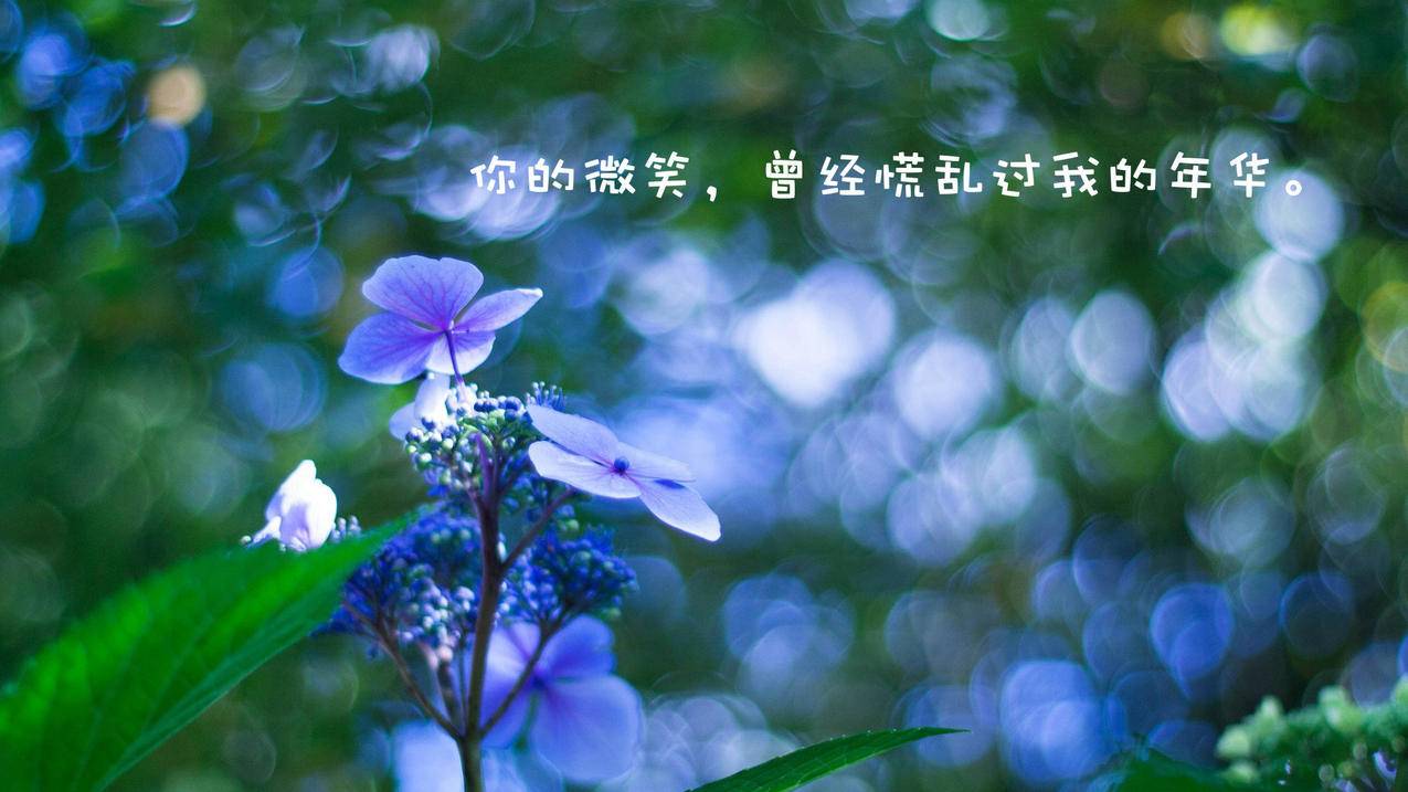 qq说说刷评论平台全网+最低价啊 - qq名片赞0.1元十万赞网站