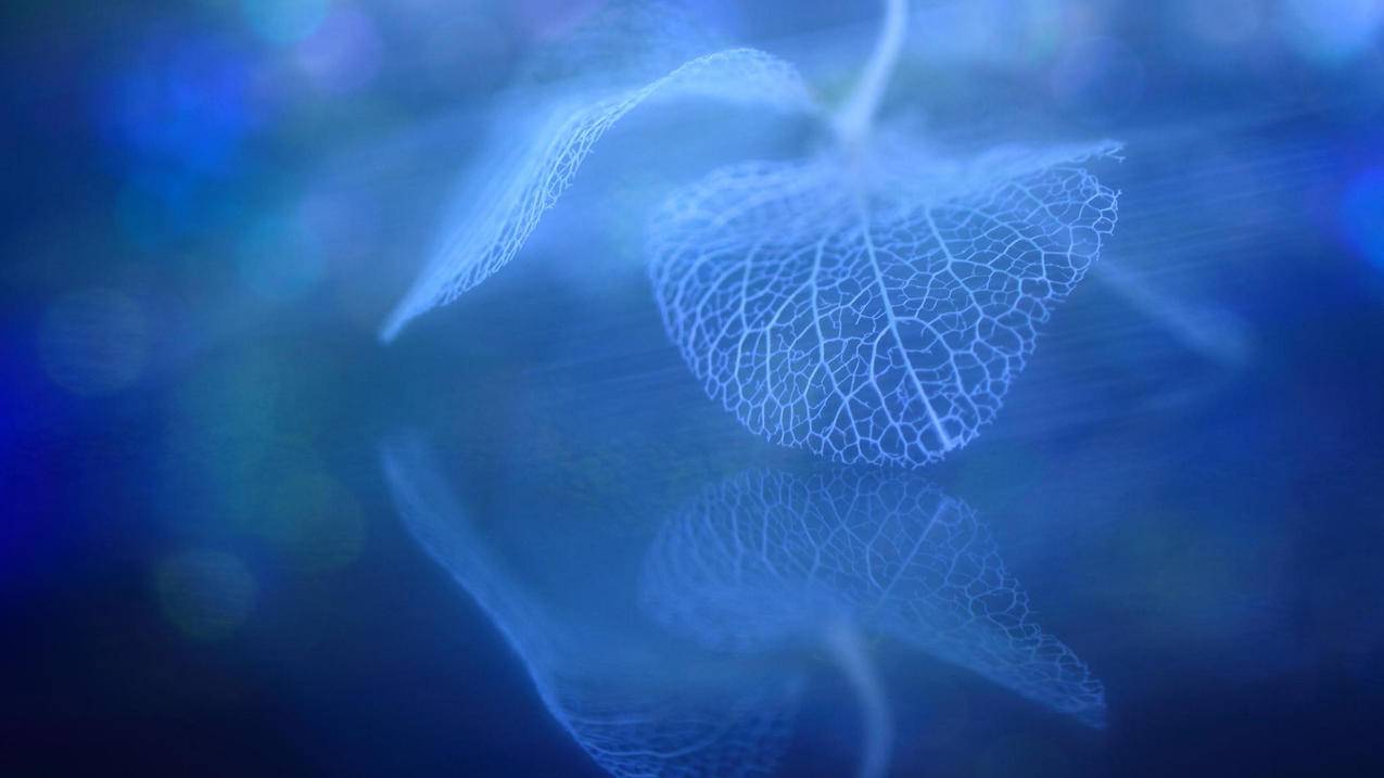快手刷播放量最便宜速度最快的代刷网 - qq名片赞免费刷赞网站