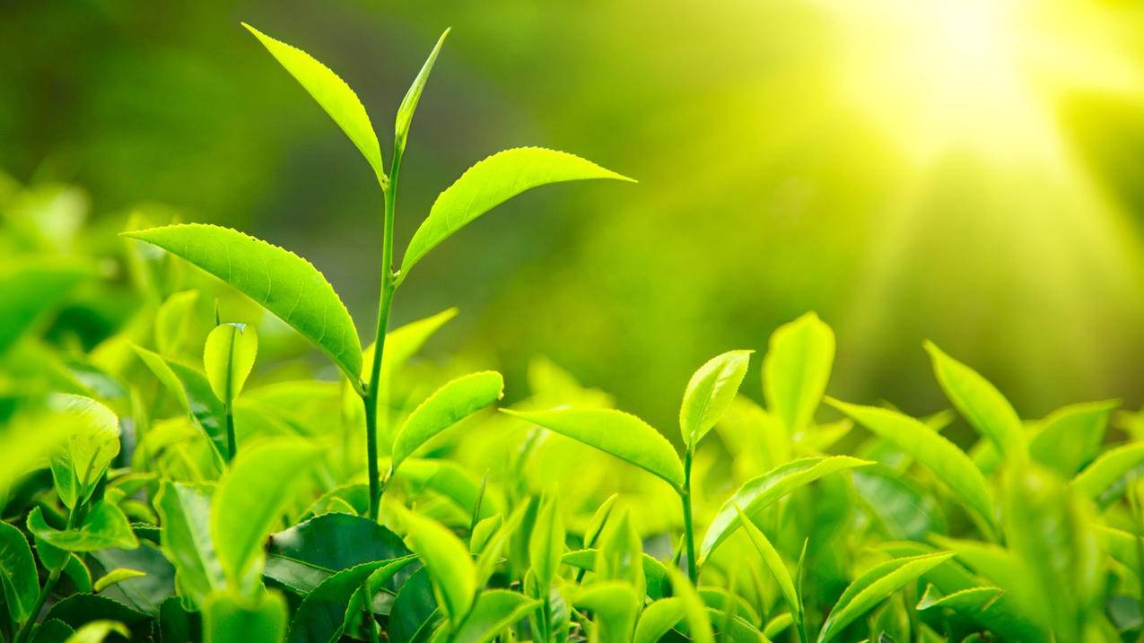 快手刷双击50个自助平台-刷赞网免费快手_快手免费刷自助