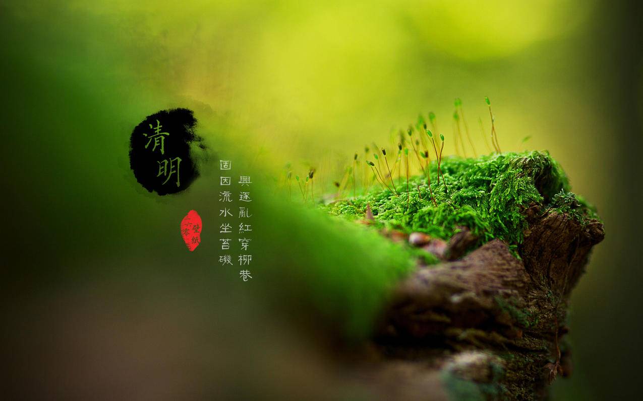 全网最便宜刷抖音业务平台-全网最低价刷抖音平台,抖音刷赞网站