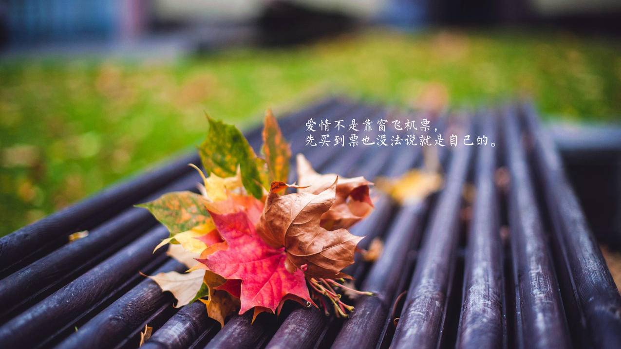 球球自助下单平台 - 快手刷双击秒刷全网最低_ks24小时自助下单平台网站